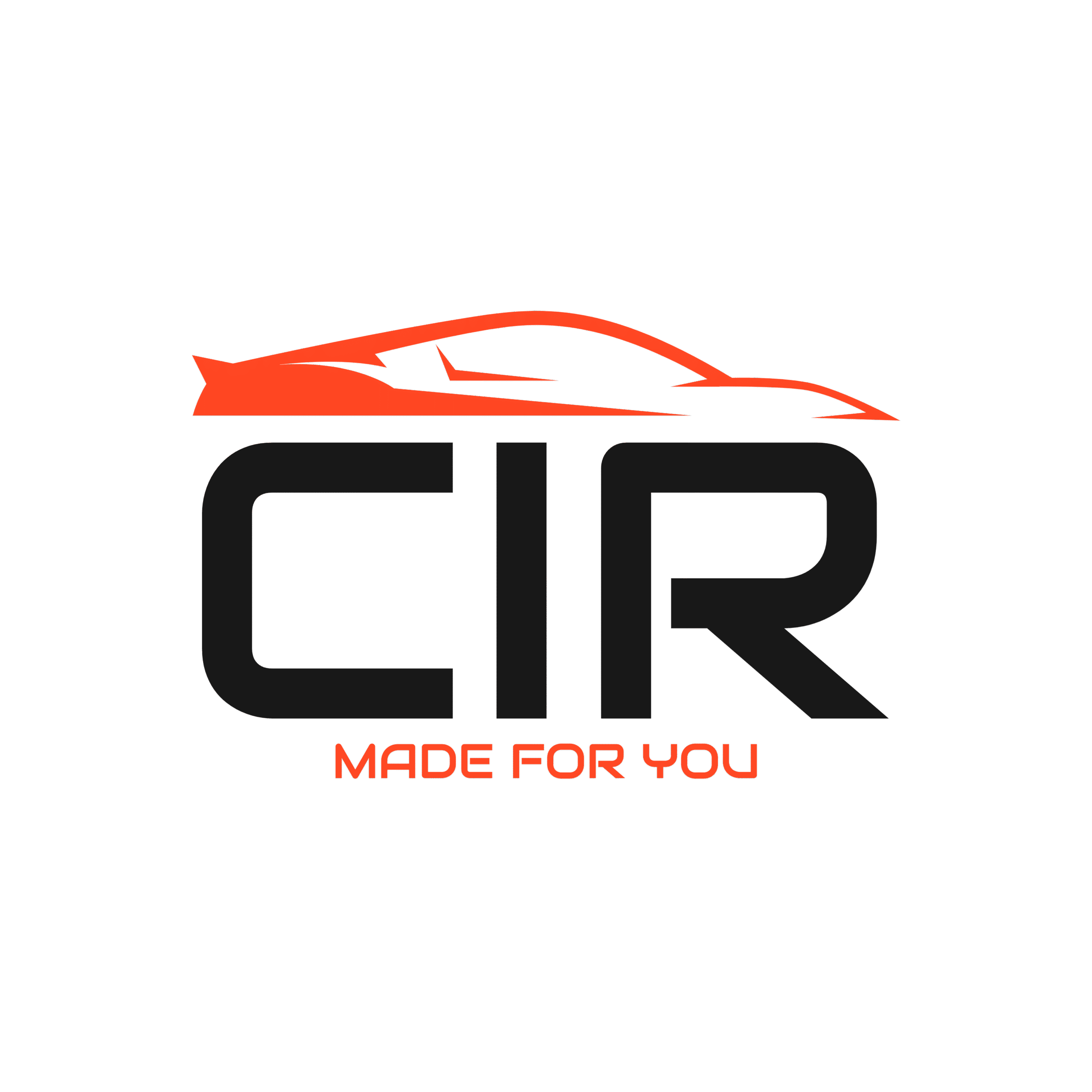 Custom Logo Design - Image 11